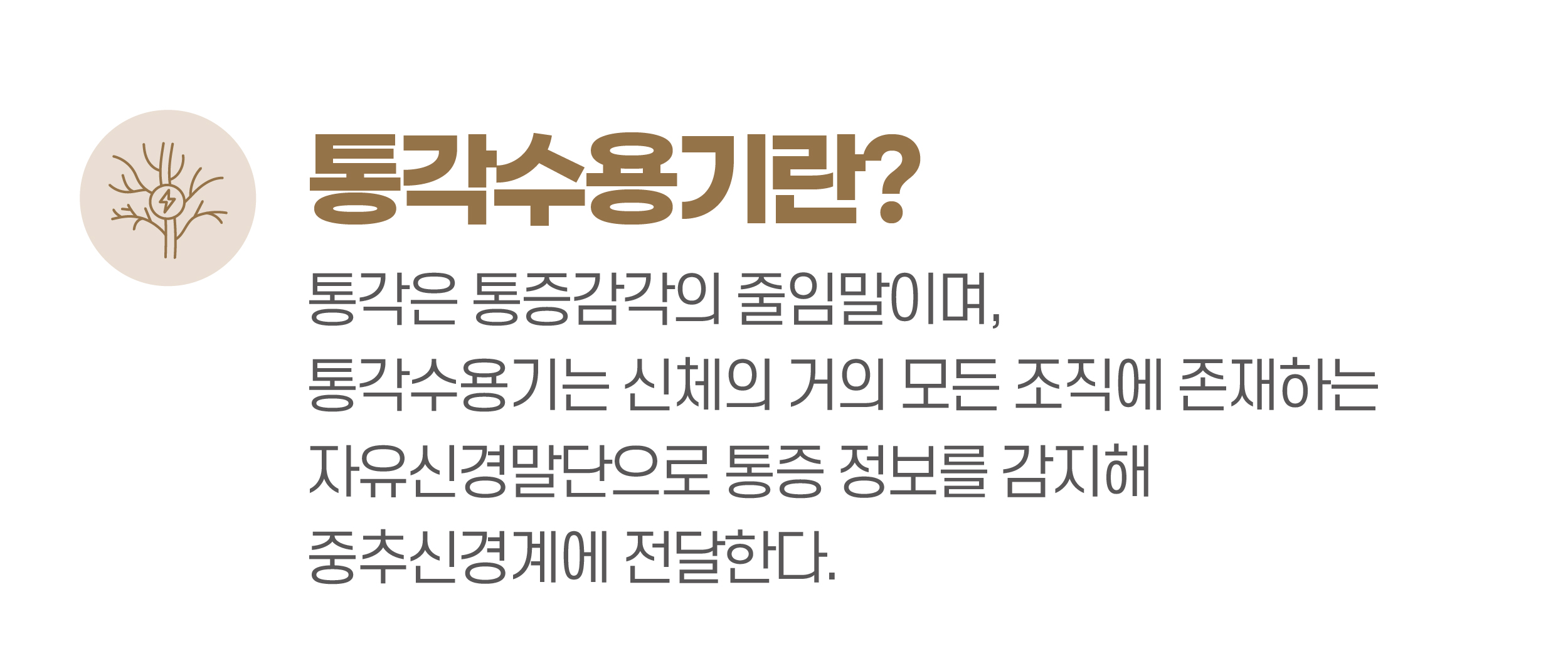 통각수용기란