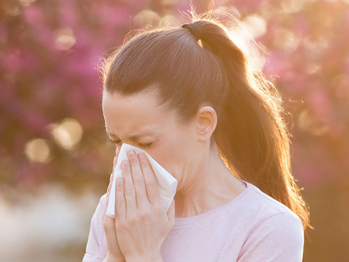 환절기 콧물·재채기·코막힘 있다면 알레르기 비염을 의심하세요